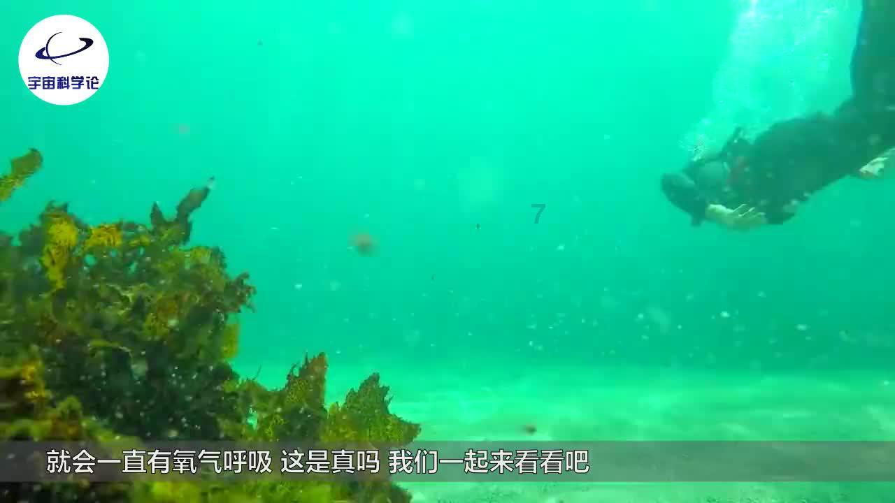 交友软件是不是都是假的,发现更多乐趣